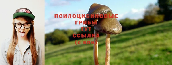 прущие грибы Майский