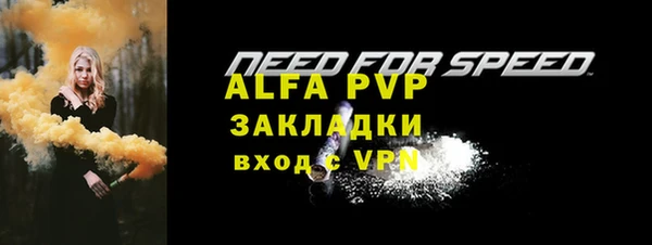 прущие грибы Майский