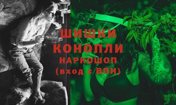 прущие грибы Майский