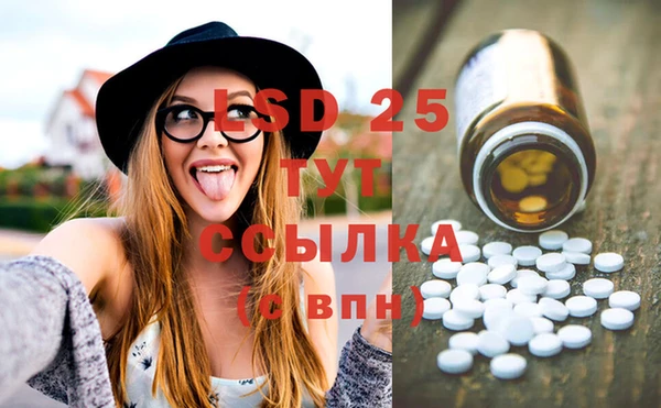 прущие грибы Майский