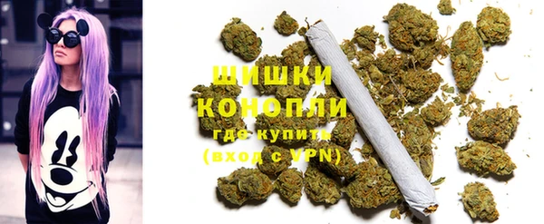 прущие грибы Майский