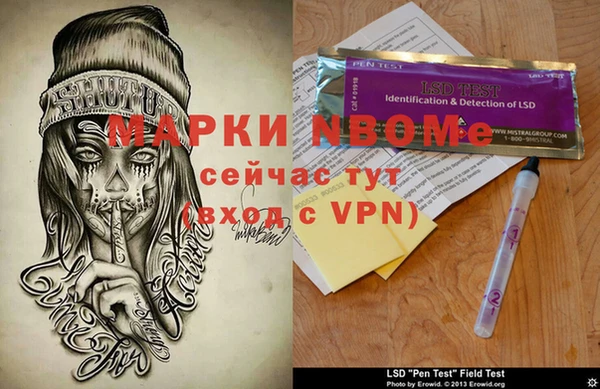прущие грибы Майский